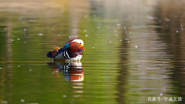 江北~隱藏著你嚮往的詩和遠方... 江北~隱藏著你嚮往的詩和遠方...