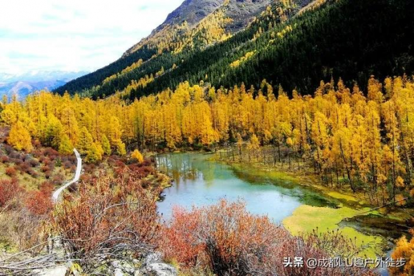 川西最美秋色進行曲,對的時間去對的地方,這次不會錯過 川西最美秋色進行曲,對的時間去對的地方,這次不會錯過