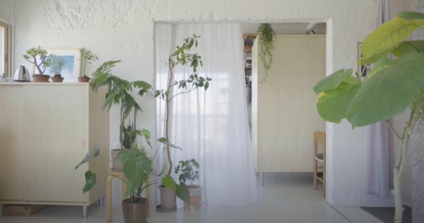 35㎡老破小爆改神作！裝下兩個書房、植物園、三分離衛生間