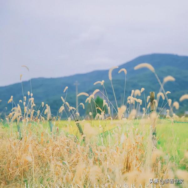 寒冬養生關鍵點，你get到了嗎？