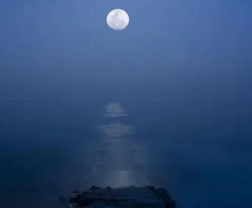 現代詩：《窈窕一輪中秋月》