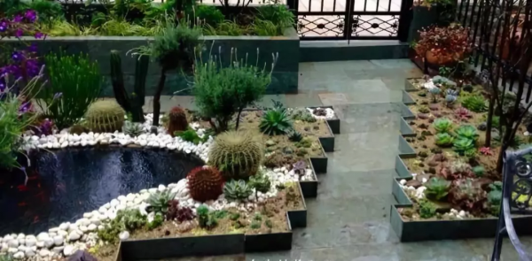 4年時間，靠一腔熱誠打造多肉花園