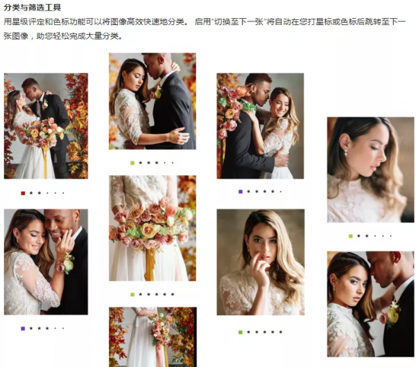 11月新版來襲!飛思Capture One 21 Pro v14.4.1.6,商業攝影必備 11月新版來襲!飛思Capture One 21 Pro v14.4.1.6,商業攝影必備