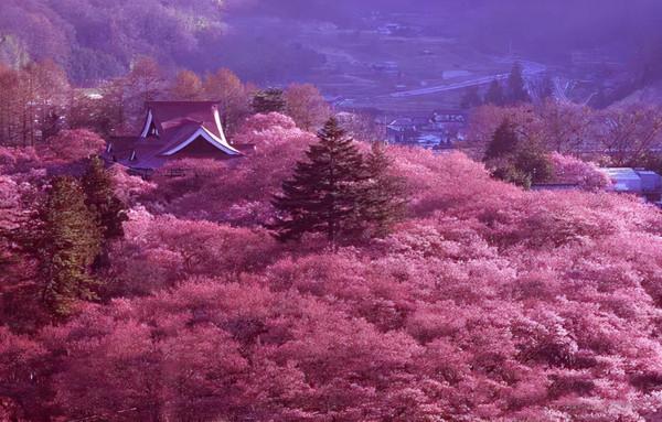 陽光明媚的騰衝市2