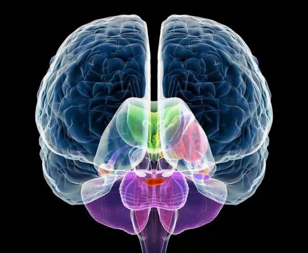 頭痛是腦卒中的預兆？醫生說：要嚴防兩個高值，注意“三偏”症狀