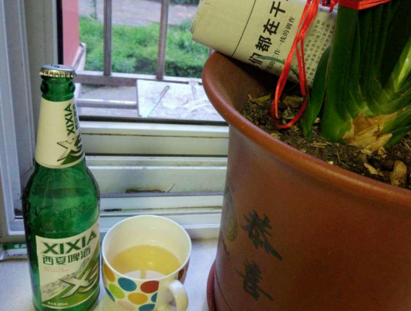 “垃圾”不要扔,拿來養花效果好,扔掉就是扔錢 “垃圾”不要扔,拿來養花效果好,扔掉就是扔錢