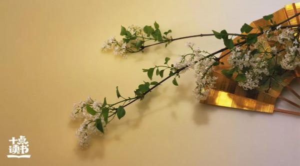 有故事的人,才能看懂阿德勒的8句話 有故事的人,才能看懂阿德勒的8句話