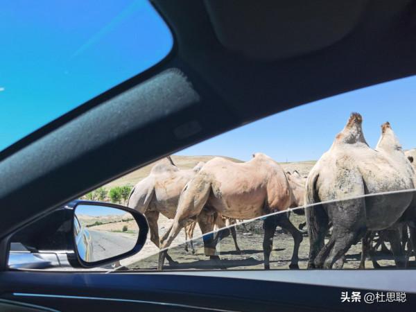 漢EV自駕新疆，漢和全疆第一提的唐DMi比純電能耗，完全不落下風