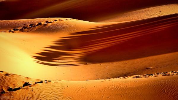 金色沙漠,夢幻之旅 金色沙漠,夢幻之旅