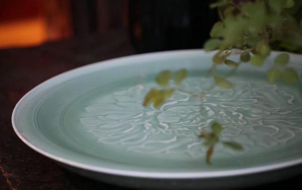 花盆裡小黑飛蟲越來越多怎麼辦？記住這&OpenCurlyDoubleQuote;3招&rdquo;，小飛蟲都死光光