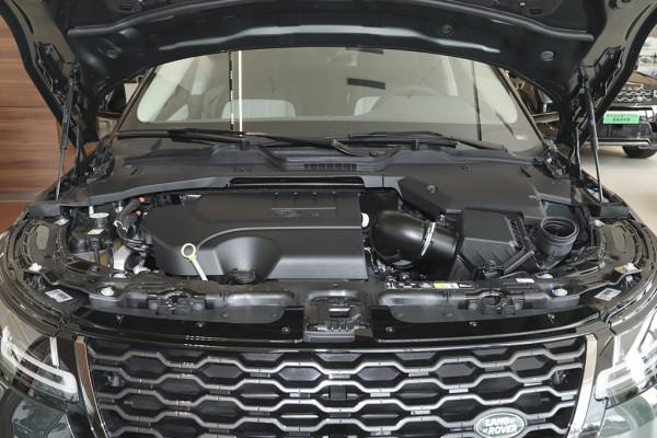 坦克300城市版領銜 帶你自駕 帶你野 三款熱門重磅SUV推薦