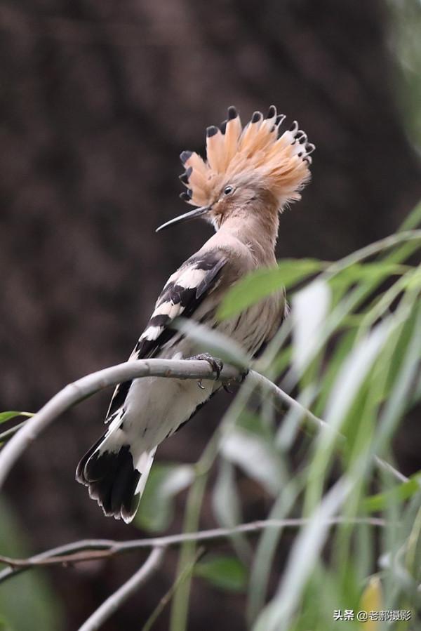 展現自己的美麗看心情