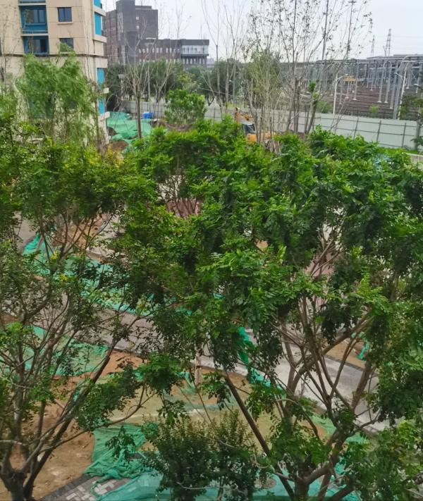 堪稱最優建築質量的安置房建設進度播報來了——中筑西府海棠