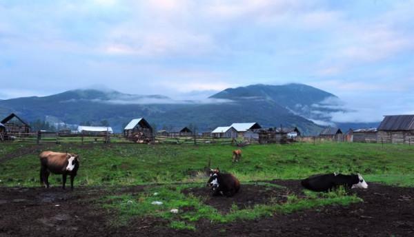 你想要來的新疆2022年是這樣的