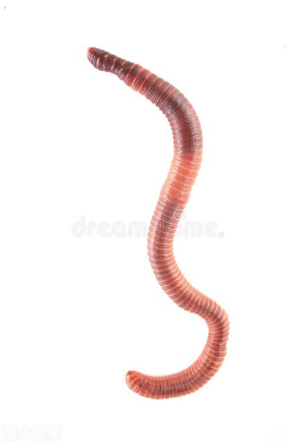 新手釣友如何入門(縱橫江湖 新手釣友如何入門(縱橫江湖