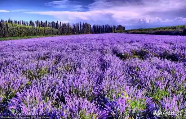 2022最適合私奔的10個新疆旅行地，去過3個忍不住想結婚