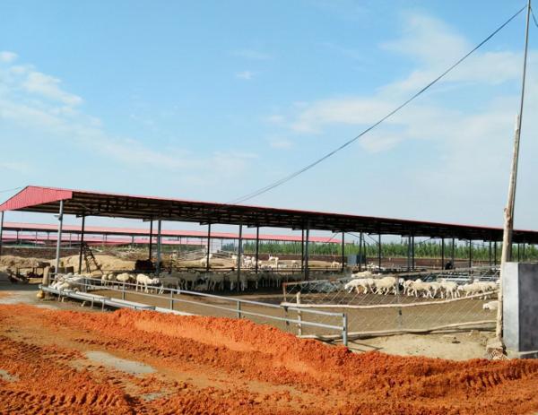 我是養殖戶,我為什麼要使用顆粒料? 我是養殖戶,我為什麼要使用顆粒料?