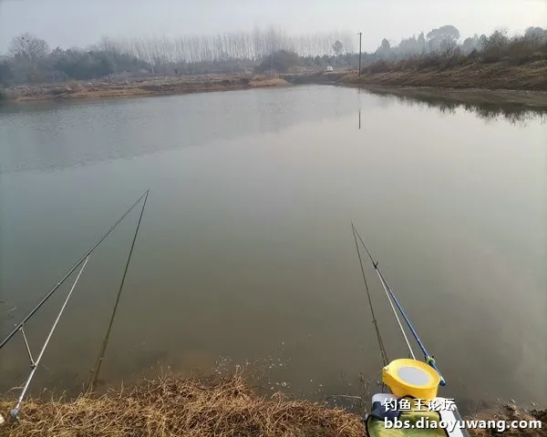 新年首釣，有鯽有鯉