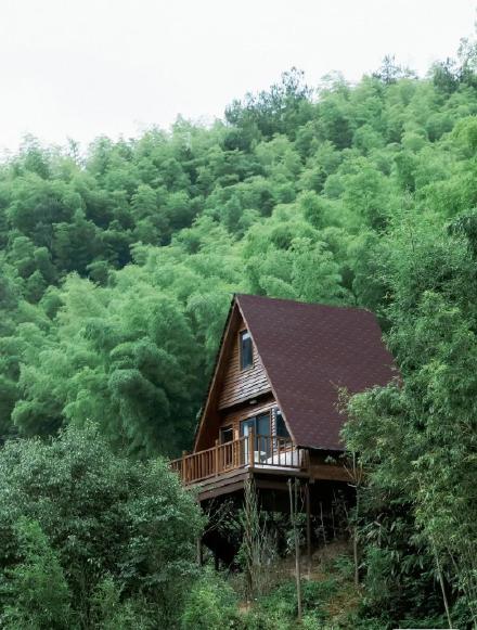 這樣的森林小木屋你可喜歡？