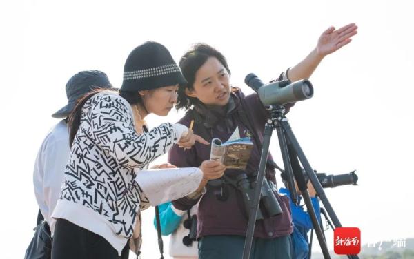 海南越冬水鳥調查:出門“自帶飯勺”的小傢伙現身啦 海南越冬水鳥調查:出門“自帶飯勺”的小傢伙現身啦