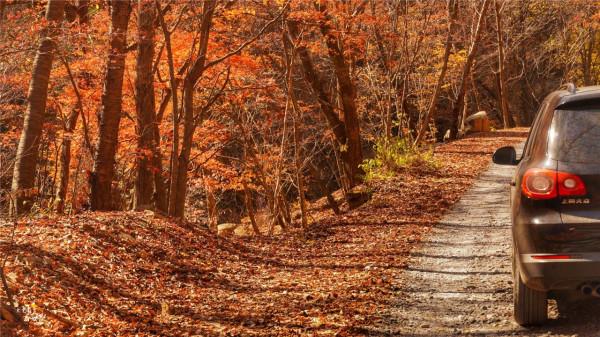 本溪有一個可以自駕遊覽的景區，觀賞紅葉絕美，今年秋天不能錯過