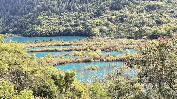 犀利評測｜九寨溝“補妝”歸來依然美麗，遊客惋惜僅走馬觀花