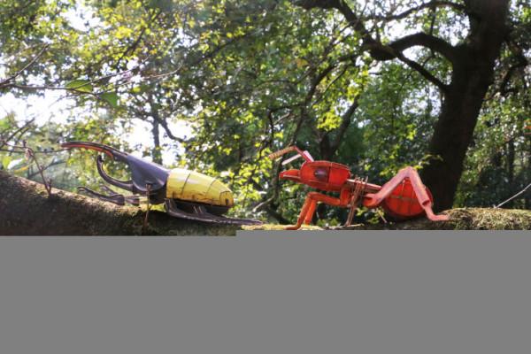 穿過密林，渡過小溪，美洲雨林兄弟的叢林好奇之旅