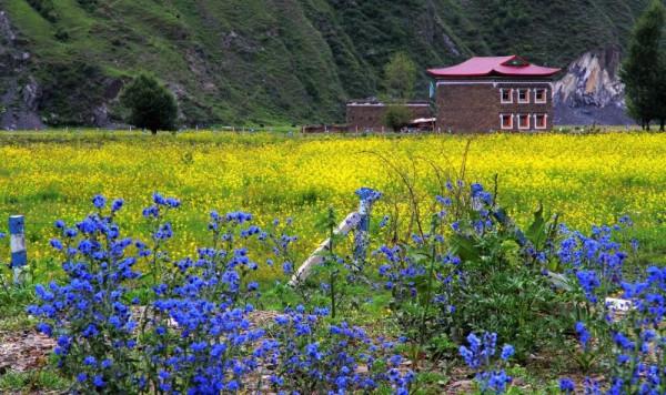 川西美景欣賞 川西美景欣賞