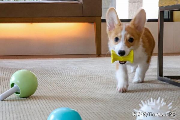 帝都繽紛聖誕季,搶先看7家酒店節日禮遇List 帝都繽紛聖誕季,搶先看7家酒店節日禮遇List