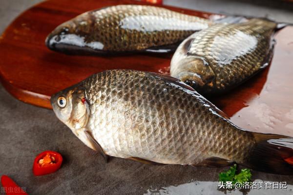 冬季進補這5種魚要多吃,滋補又驅寒,營養低脂,男女老幼都受益 冬季進補這5種魚要多吃,滋補又驅寒,營養低脂,男女老幼都受益