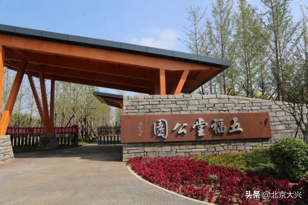 快去看看！大興新晉網紅打卡地，美爆了！