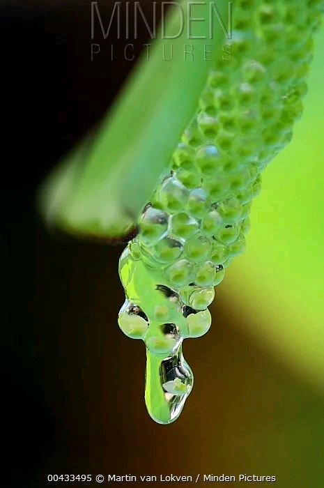 給你一個眼神,自己體會 給你一個眼神,自己體會