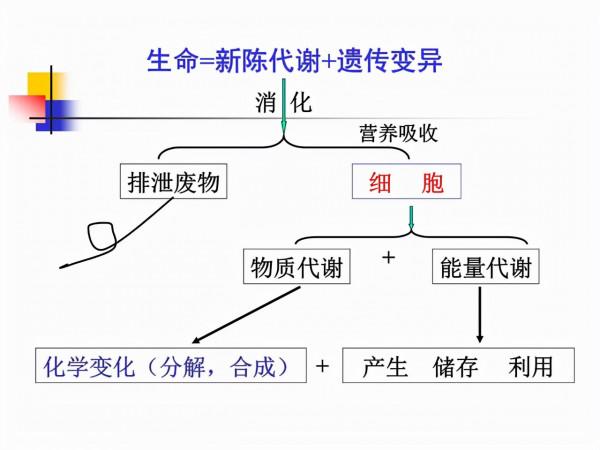 人類為何不能永生?科學家:人類都是“打工仔” 人類為何不能永生?科學家:人類都是“打工仔”