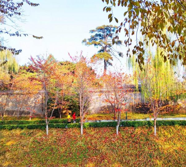 玉淵潭秋色秋韻,像莫奈筆下的畫 玉淵潭秋色秋韻,像莫奈筆下的畫