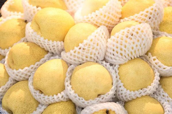 冬季天氣乾燥，容易上火！推薦：這5種清熱去火茶，不妨試試