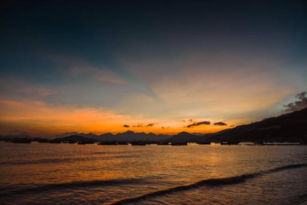 他的心臟,居然和肋骨緊緊粘連 他的心臟,居然和肋骨緊緊粘連