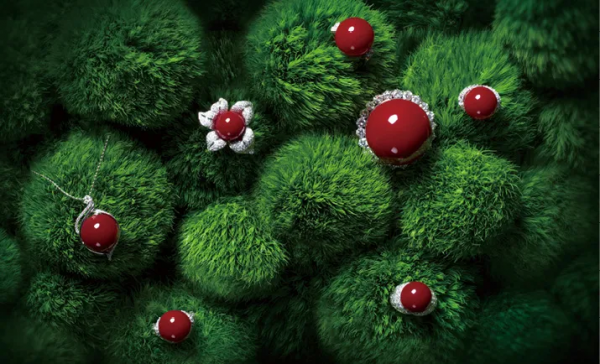 你知道珊瑚是不可以隨意買賣嗎？