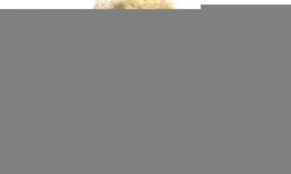 泰國二王妃流落外國,變老變胖,腰如水桶粗還拼命打扮自己 泰國二王妃流落外國,變老變胖,腰如水桶粗還拼命打扮自己