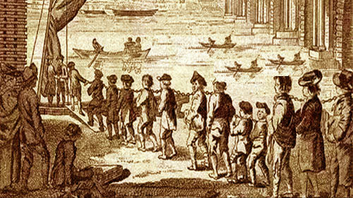 澳大利亞山羊也能氾濫,破壞生態讓人無可奈何,為何不用吃來解決 澳大利亞山羊也能氾濫,破壞生態讓人無可奈何,為何不用吃來解決