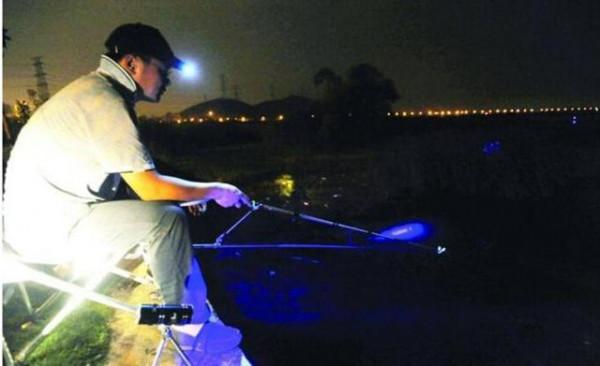 秋季夜釣魚沒有口?一定是這四個原因導致的,解決辦法也非常簡單 秋季夜釣魚沒有口?一定是這四個原因導致的,解決辦法也非常簡單