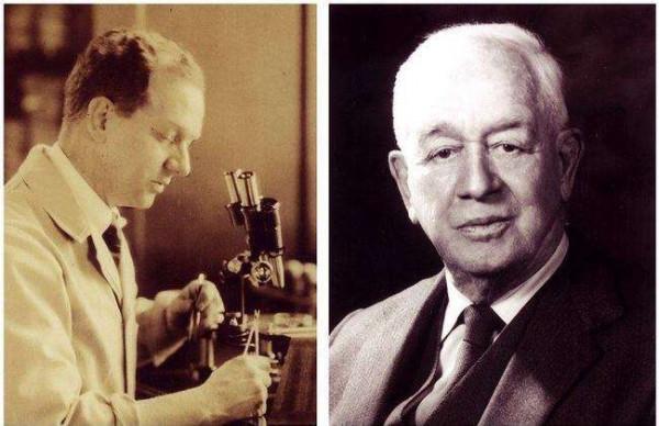 歷史上的今天：111年前的一隻小雞發現了“癌病毒”？