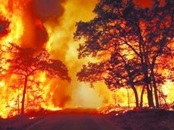 老兵退伍時檔案丟失，28年後發現堂弟用自己名字在石化企業上班