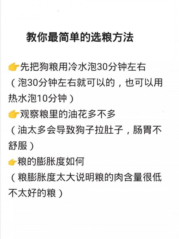還在盲選毒糧嘛！教你最簡單的選狗糧方法