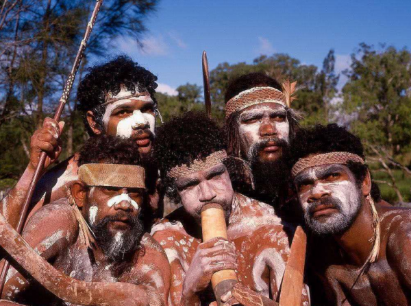 澳洲野犬：一種長得像大黃的“野狗”