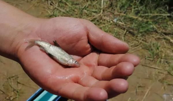 釣魚時遇到這種情況,滿以為魚情不錯,最後卻漁獲慘淡 釣魚時遇到這種情況,滿以為魚情不錯,最後卻漁獲慘淡