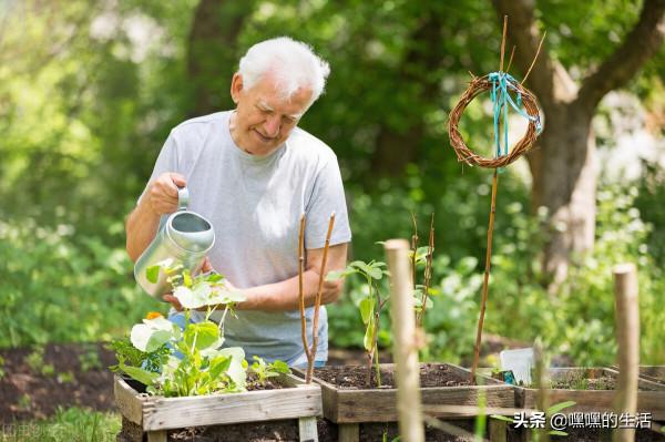 這些“廚餘垃圾”平時別倒掉，積攢到一塊養花，效果特好