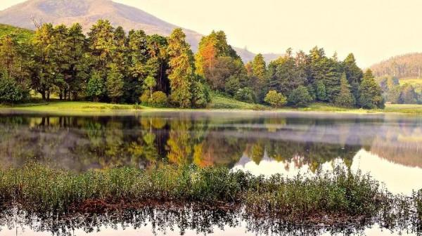 豬不知道它是豬所才是豬，你不知道你是你所以你才是