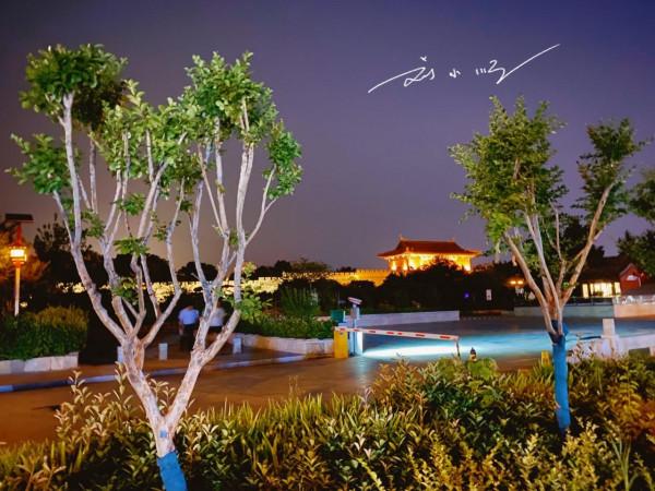 山東著名的旅遊城市,因泰山而得名,遊客:為什麼不改名泰山市? 山東著名的旅遊城市,因泰山而得名,遊客:為什麼不改名泰山市?