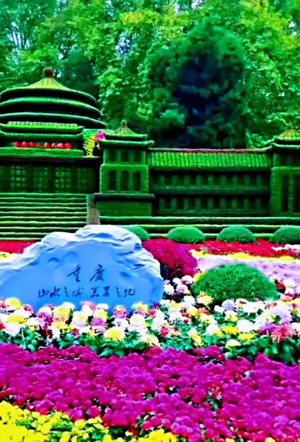 美景：夏日繁花