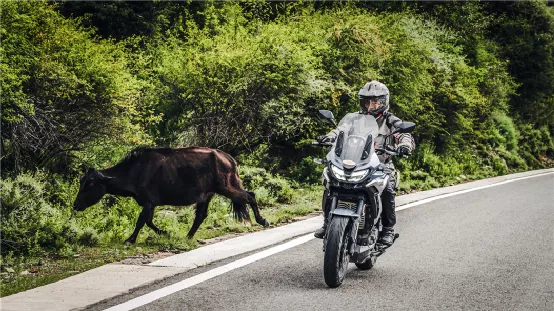 15000公里騎行，RX6挺進日光城